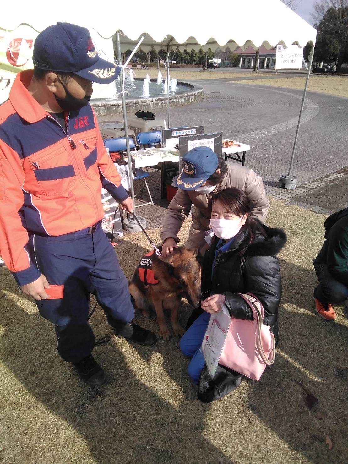 救助犬と
